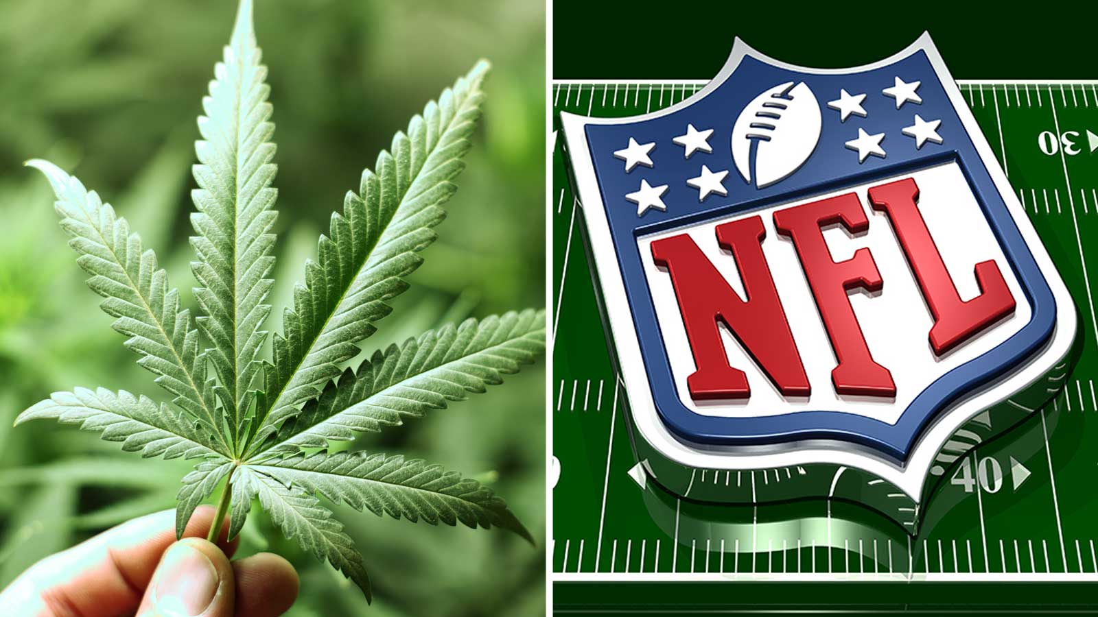 NFL cannabis