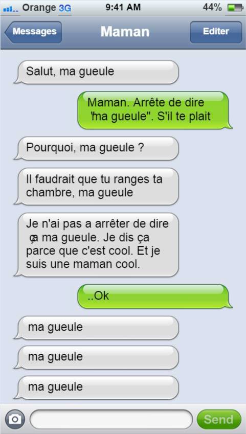 SMS DROLES (4)