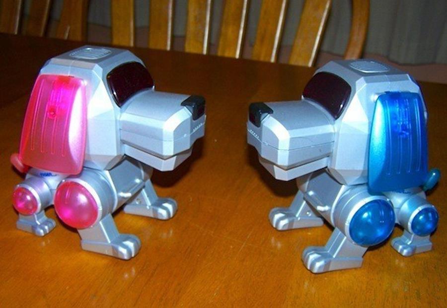 chien robot