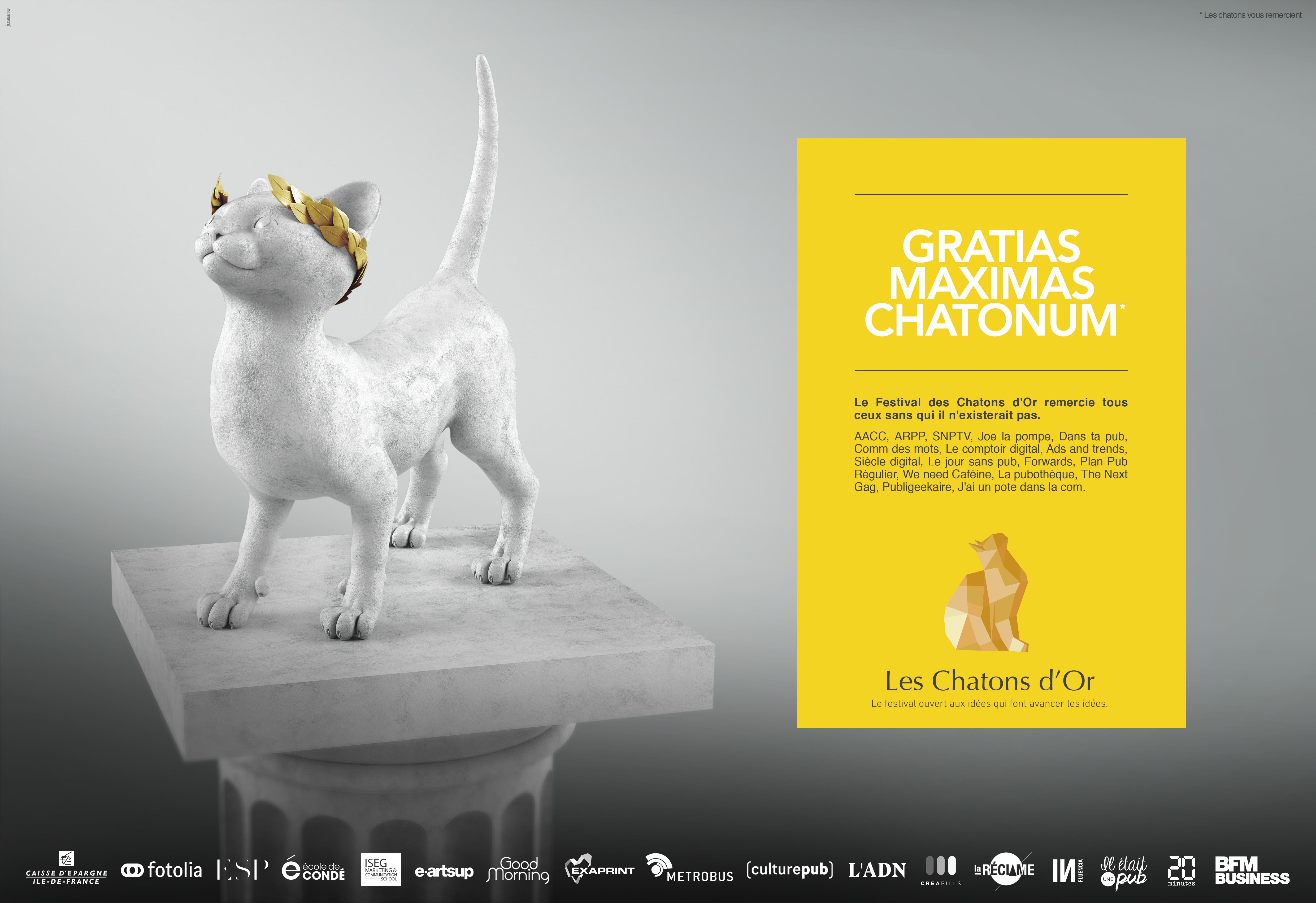 Les Chatons d'Or 2016 (7)