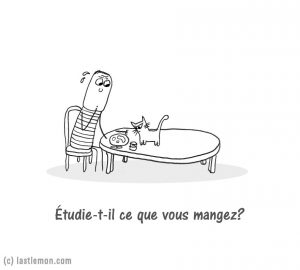 chat (3)