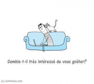 chat (5)