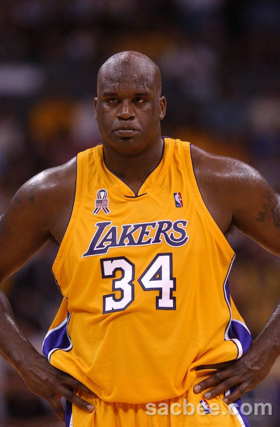 Shaquille-ONeal-361
