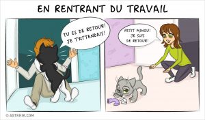 chien&chat (11)