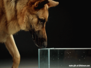 gifs science (3)