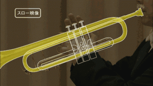 gifs science (9)