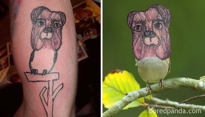 funny-tattoo-fails-face-swaps-comparisons-13-57ad8b539da40__700