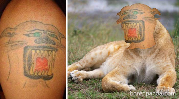 funny-tattoo-fails-face-swaps-comparisons-17-57ad8b5ba59bb__700